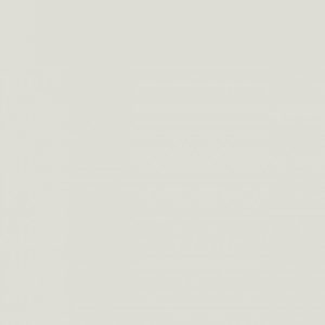 1203-grey-hpl-fundermax-f-167114477125oum.jpg 1203 Grey