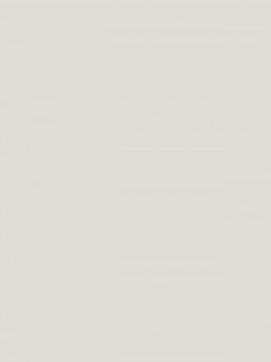 1203-grey-hpl-fundermax-f-167114477125oum.jpg 1203 Grey