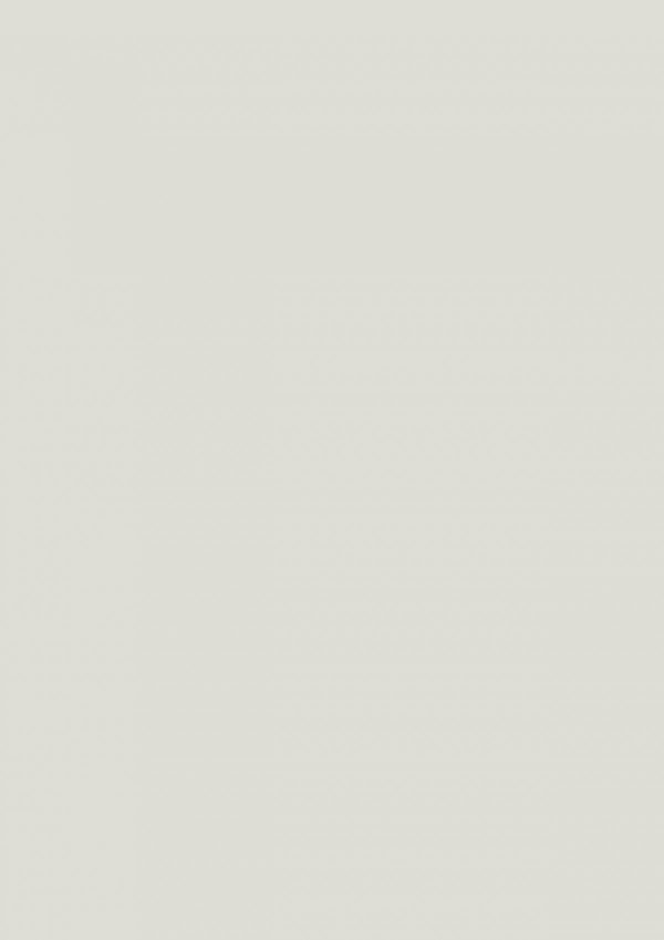 1203-grey-hpl-fundermax-f-167114477125oum.jpg 1203 Grey
