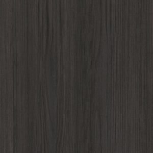 4029 Eucalipto Dark