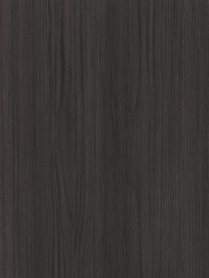 4029 Eucalipto Dark