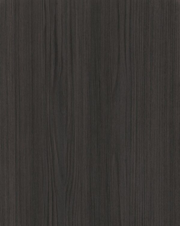 4029 Eucalipto Dark