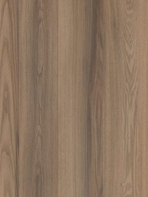 4038 Rovere Jazz