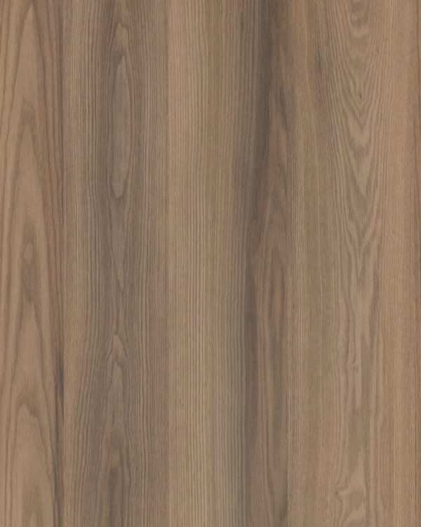 4038 Rovere Jazz