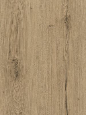 4057-canadian-oak-hpl-fundermax-f-1671146455dpabp.jpg 4057 Canadian Oak