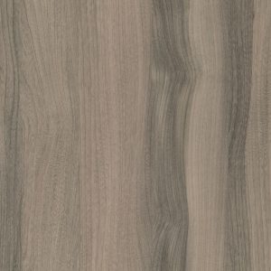 4059 Lionga Elm