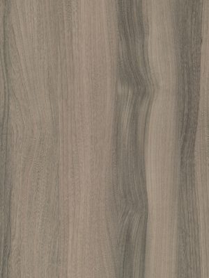 4059 Lionga Elm