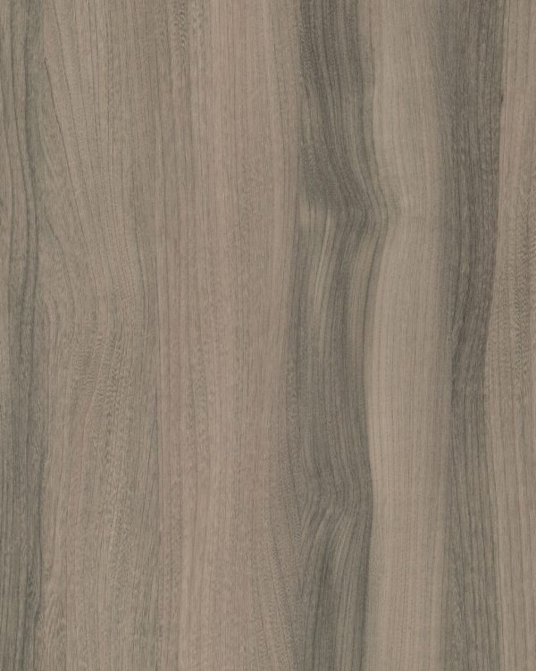 4059 Lionga Elm