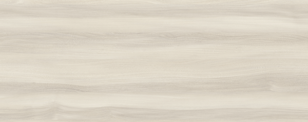 4060 Quebec Elm