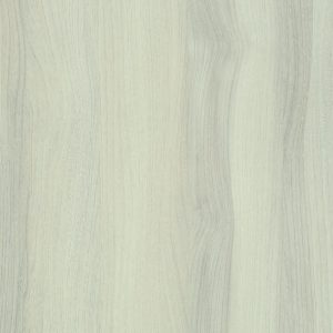 4060 Quebec Elm