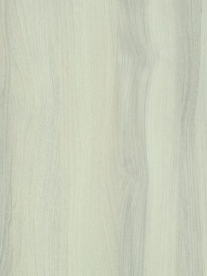 4060 Quebec Elm