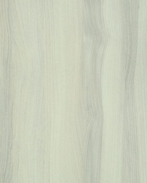 4060 Quebec Elm