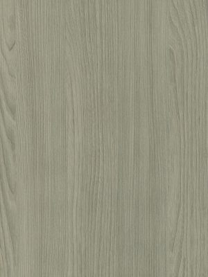 4061 Olmo Nevera