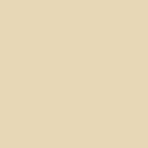 5110-platte-web-1743167323xtof6.png 5110 Ginger