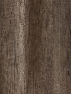 5172 Marshland Oak
