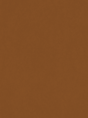 au02-authentic-pecan-hpl-fundermax-1671097489wdjsf.png AU02 Authentic Pecan