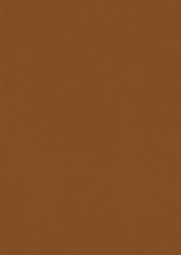 au02-authentic-pecan-hpl-fundermax-1671097489wdjsf.png AU02 Authentic Pecan