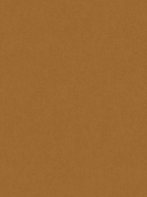 au03-authentica-caramel-hpl-fundermax-1671097843oarut.png AU03 Authentic Caramel