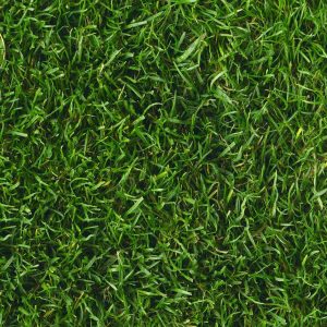 P383 Lawn