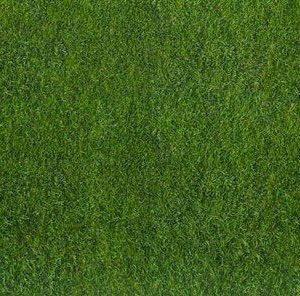 P383 Lawn