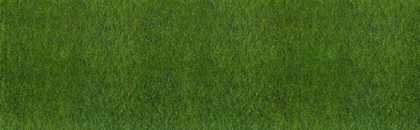 P383 Lawn