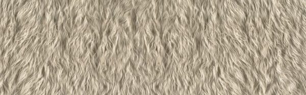 P933 Fur