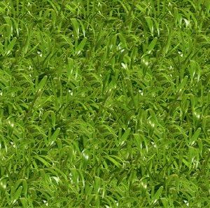 P934 Nature Crosswise