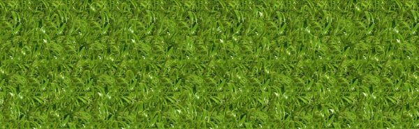 P934 Nature Crosswise