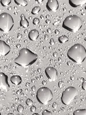 p938-a4-web-1762954623h9ppj.jpg P938 Dew