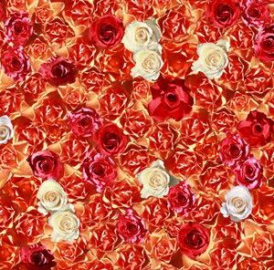 p963-platte-web-1762956577ojehm.jpg P963 Roses