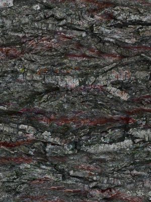 P966 Bark