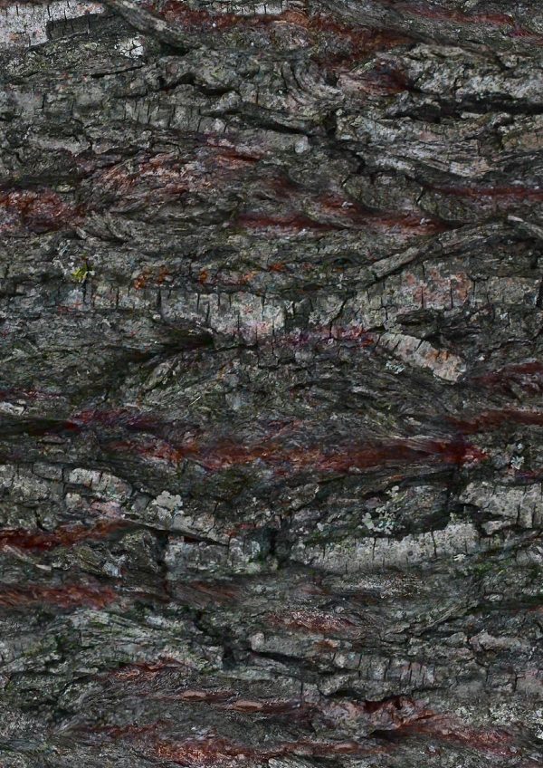 p966-a4-web-1762956729vcfyz.jpg P966 Bark