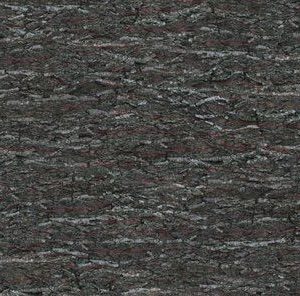 p966-platte-web-1762956732isq46.jpg P966 Bark