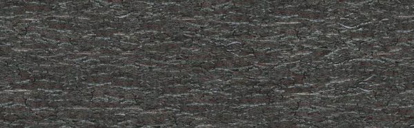 p966-platte-web-1762956732isq46.jpg P966 Bark