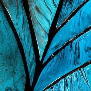 Q004 Morpho