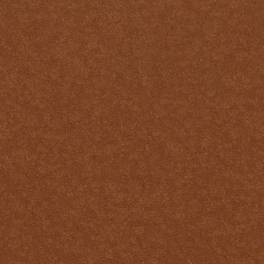 Coral 4031