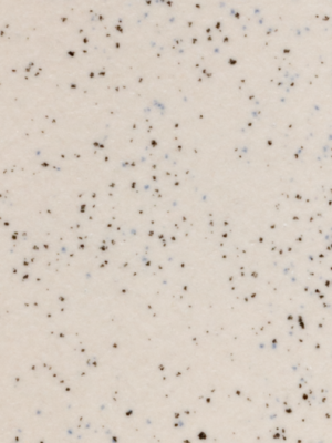 70151 Kimura beige