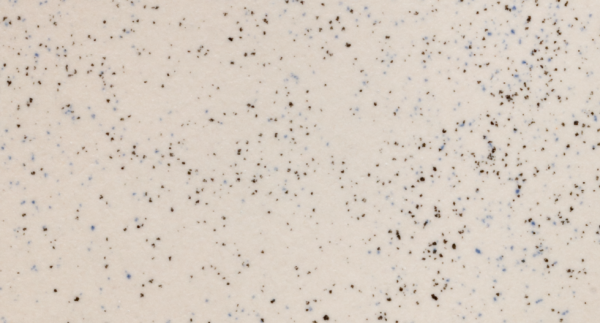 70151 Kimura beige