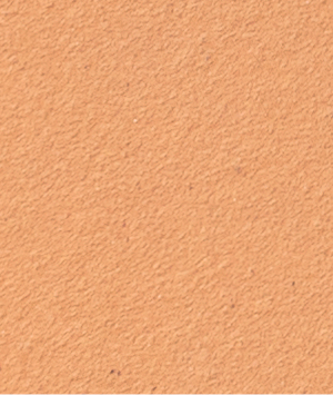 alphaton-lachs-salmon-1716796770l5axq.png Alphaton Salmon