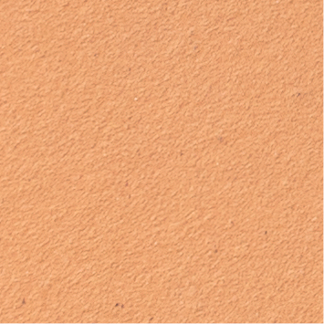 Alphaton Salmon