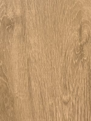 Bark chestnut sense STB-W58