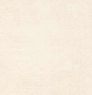 beige-1674394096x1riz.jpg beige
