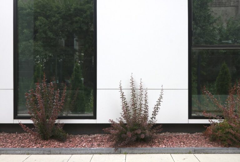 biznes tsentr white 768x518