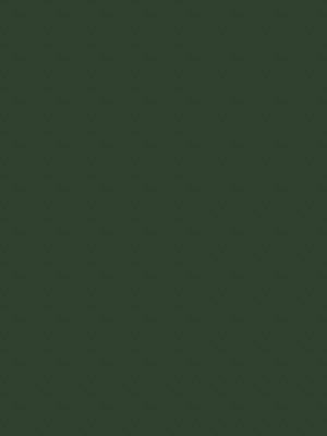 bottle-green-matt-stb-u03-1777280572681we.jpg Bottle green matt STB-U03