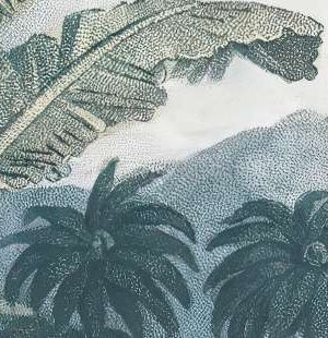 green-blue-mix-1674393856i5bga.jpg green-blue Mix