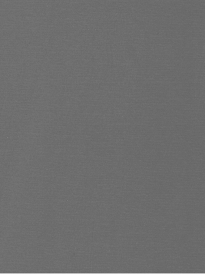 Grey Metallic