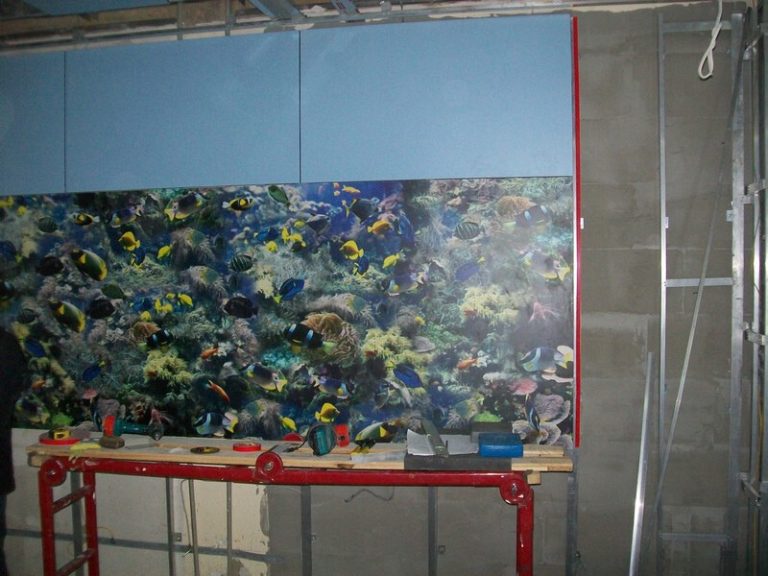 kabinet angeografii 1 768x576