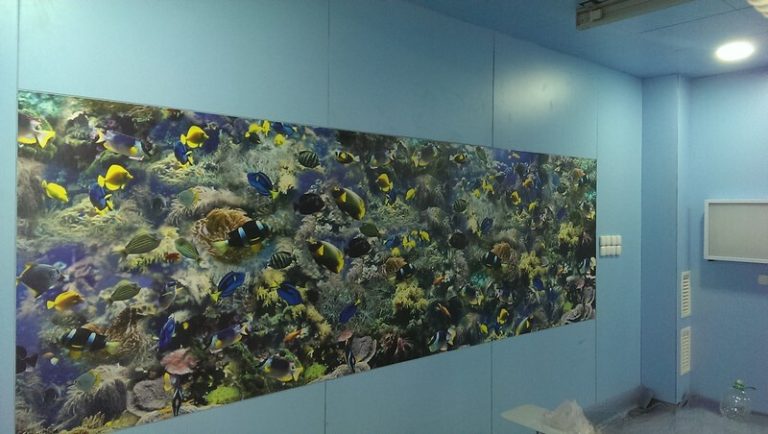 kabinet angeografii 768x434