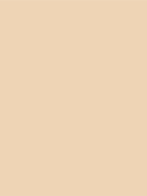 light-ivory-1015-alucomp-alucoil-1678357220d8p9x.png Light Ivory 1015