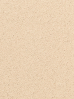 Longoton Champagne